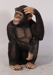 Caesar the Chimp